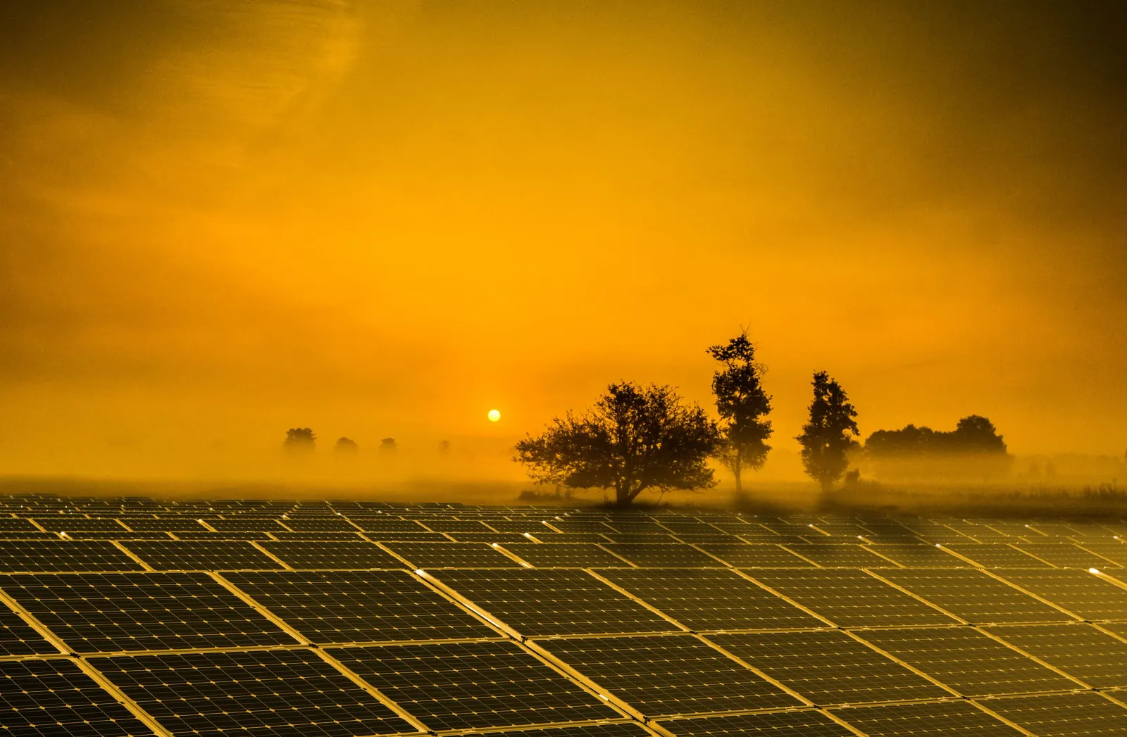 Rows of solar panels at sunrise