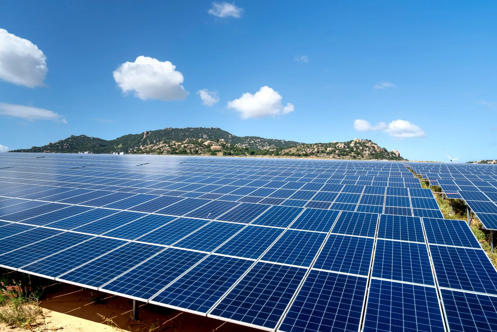 A large solar array under an open sky